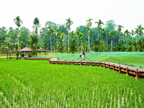 Taman Botani Negara Shah Alam